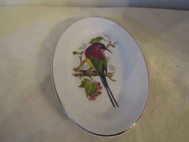 Vintage W H Grindley Decorative Oval Plate Tropical Bird Design 22cm x 15cm