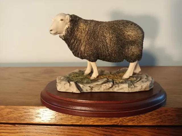 Border Fine Arts An Early - 'Herdwick Ewe' Style One Model No 118