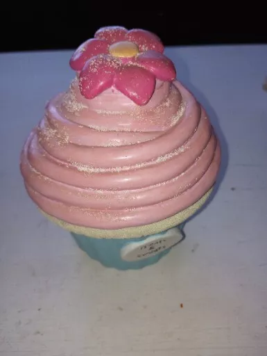 Cupcake Bank Ceramic Pink And Blue 3