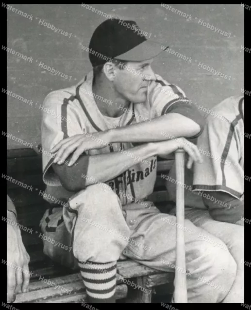 MARTY MARION St Louis Cardinals MLB Baseball Vintage Original Press Photo