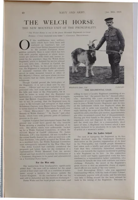 1915 Ww1 Article & Pic Welsh Horse Mounted United Regimental Goat Sentry Dogs