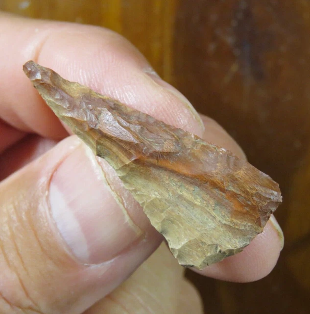 Beautiful Petrified Wood Cottonwood Triangular arrow point north-central Oregon