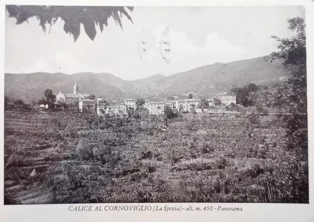Cartolina - Calice al Cornoviglio ( La Spezia ) - Panorama - 1956