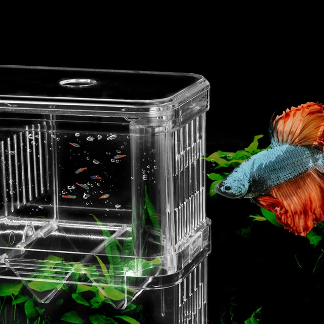 Acrylic Fish Tank Breeding Isolation Box Aquarium Incubator Holder Hatchery Case 3