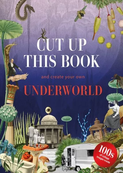 Cut Up This Book and Create Your Own Wonderland (Paperback)