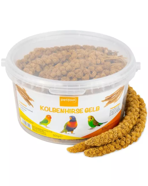 petifool Kolbenhirse gelb 500g - Einzelfuttermittel für alle Ziervögel - Voge...