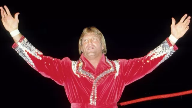 10 Pro Wrestling DVDs: The Best of PAUL ORNDORFF! 10 Pro Wrestling DVDs: The Best of PAUL ORNDORFF!