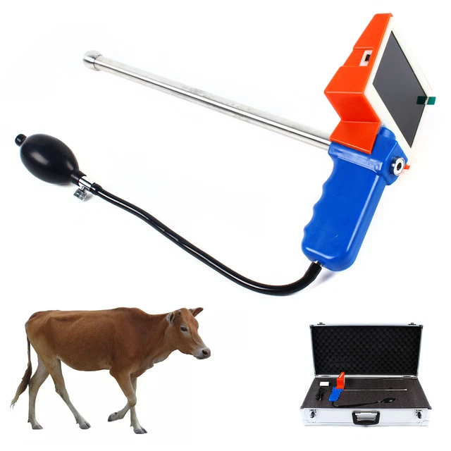 COWS CATTLE ARTIFICIAL Insemination Gun Kit stainless steel Adjust