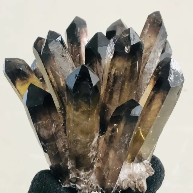 307g   New Find Black Phantom Quartz Crystal Cluster Mineral Specimen Healing