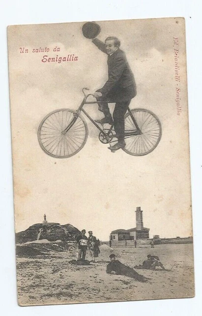 Cartolina antica di Sinigallia
