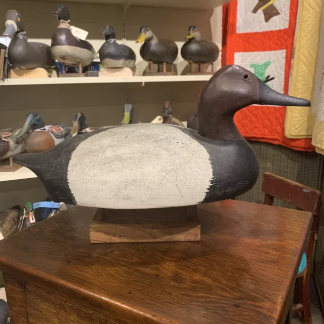 Vintage Michigan Canvasback Drake Duck Decoy Original Condition Unknown Carver