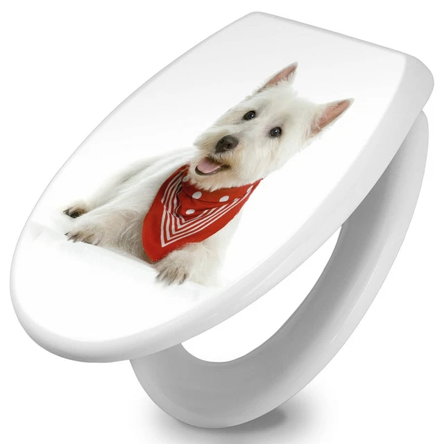 Laufen Sedile WC Pro Slim Con Coperchio E Abbassamento Automatico