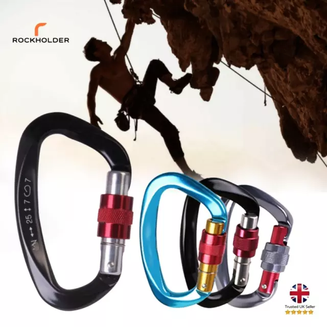 Carabiner Clip Heavy Duty Climbing D-Ring Locking Screw Clips  25kn Snap Hooks