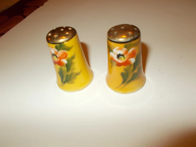Vintage Japan Hand Painted Miniature Salt Pepper Shakers Floral Ceramic Complete
