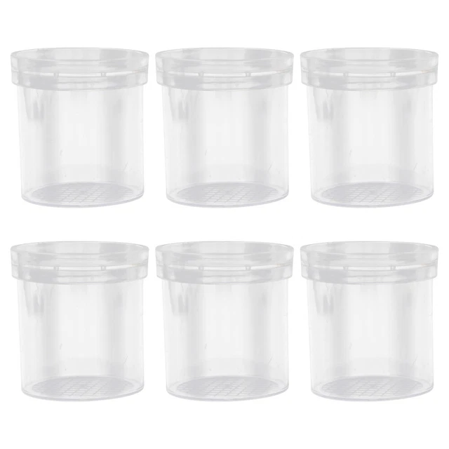 6Pcs Transparent Observation Cup Collections Box Microscope Case Viewer Box