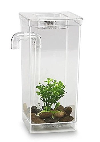 My Fun Fish - As Seen on TV
