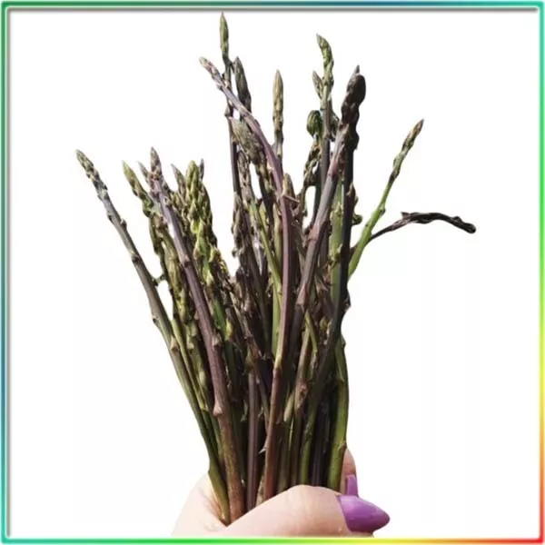 Asparagi Selvatici-Ortaggi Calabresi freschi di stagione-vendita a distanza