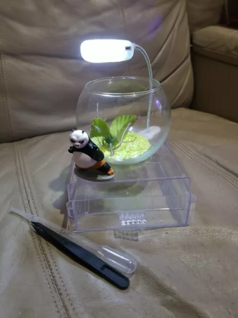 Mini 4 Inch Glass Bowl Beta Fish Tank With Storage Base Led Light Panda Deco