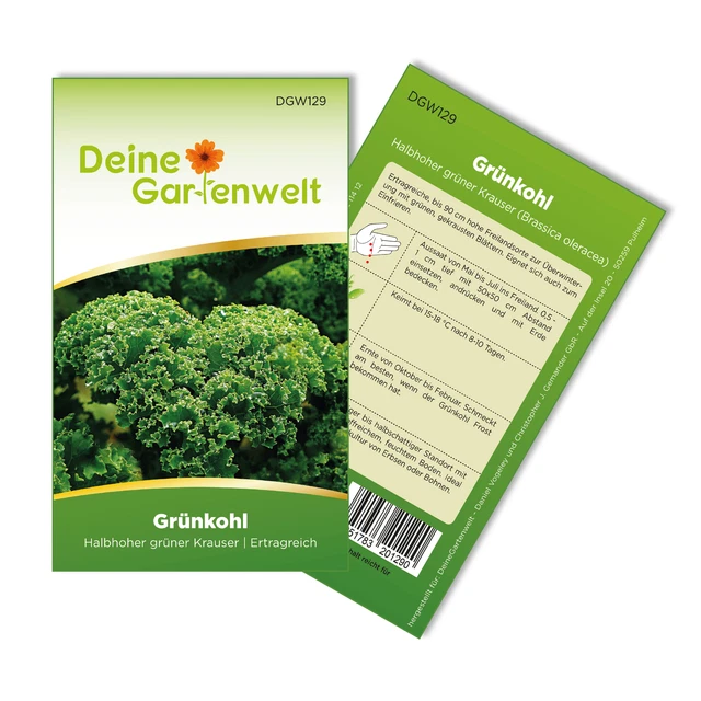 Grünkohl Halbhoher grüner krauser Samen - Brassica oleracea - Grünkohlsamen
