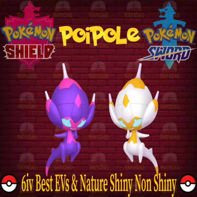 Pokemon Sword & Shield Poipole 6IV Best EVs & Nature Ultra 🌟Shiny🌟 & Non Shiny