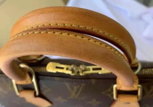 Louis Vuitton ALMA Handbag