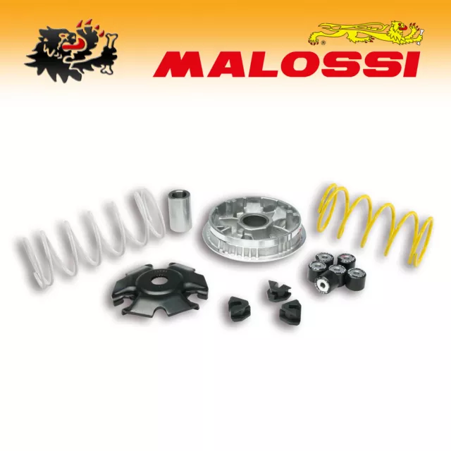 5116674 [MALOSSI] VARIATORE MULTIVAR 2000 - PIAGGIO LIBERTY iGet ABS 125/150 4T