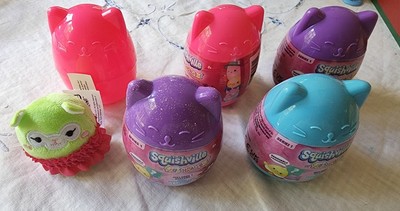 squishmallow blind capsule