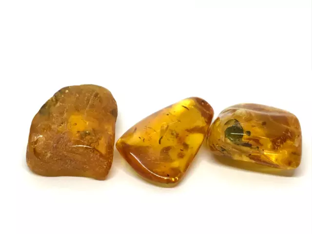 Lot 3 Baltic Amber Pieces Fossil Insect Inclusion Natural Amber Stone 10g 18538