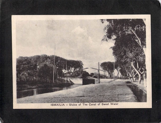 Carte Postale Ancienne – Ismailia, Egypte – Empress Avenue – Vintage (b34318)