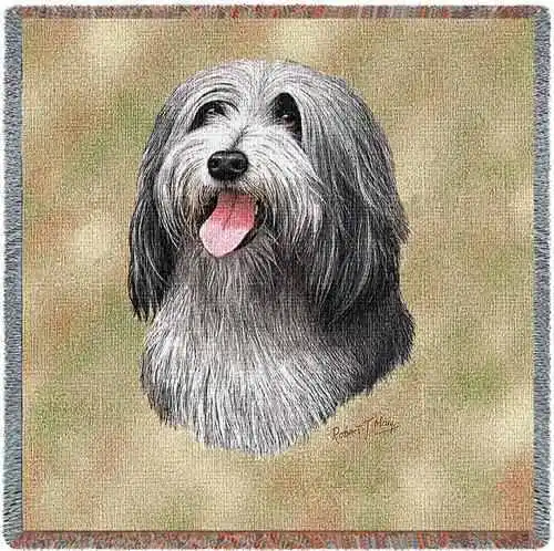 Lap Square Blanket - Bearded Collie by Robert May 1151 IN STOCK