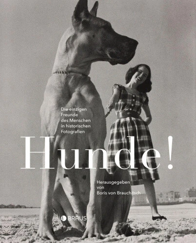 Hunde! [German] by Brauchitsch, Boris von