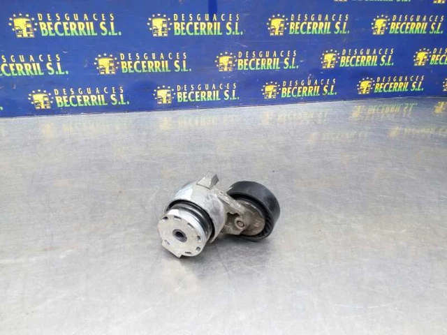 galet tendeur pour RENAULT MEGANE II 1.5 DCI (BM02 BM13 BM2A CM02 CM13) 1130949