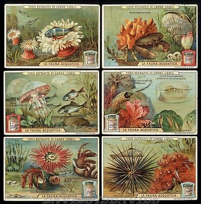 ITALIANA LIEBIG S 926 LA FAUNA ACQUATICA _ Ed CIF 925 