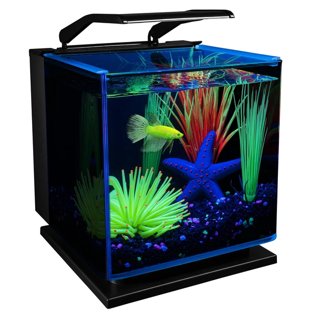 Betta Glass Aquarium Kit 3 Gallons Fish Water Tank with LED Lighting and Filter