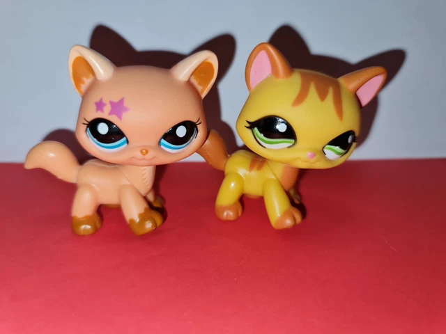 Littlest Pet Shop HASBRO #626 – Chat Maine Coon – Original – Authentique