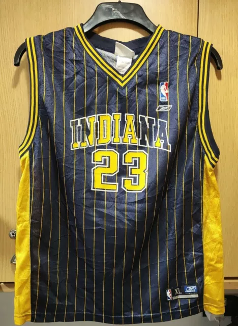 Ron Artest Vintage Indiana Pacers Nike Swingman Basketball Jersey (XXL)