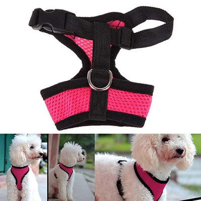 Gilet Réfléchissant Pour Chien Ajustable - Haute Visibilité, Imperméable, Pour Chasse Randonnée - 4