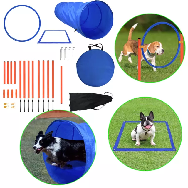 Training Hunde Agility Set  Hundesport Hürden Dog Slalom Stangen Sprung Ring TOP