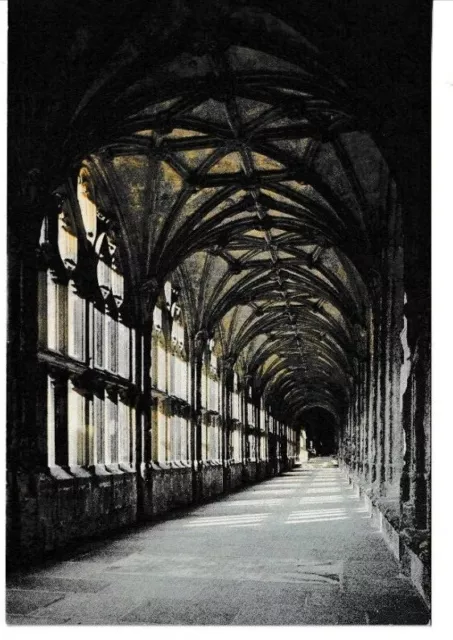 Wells, Somerset - The Cathedral Cloisters Colour  Postcard