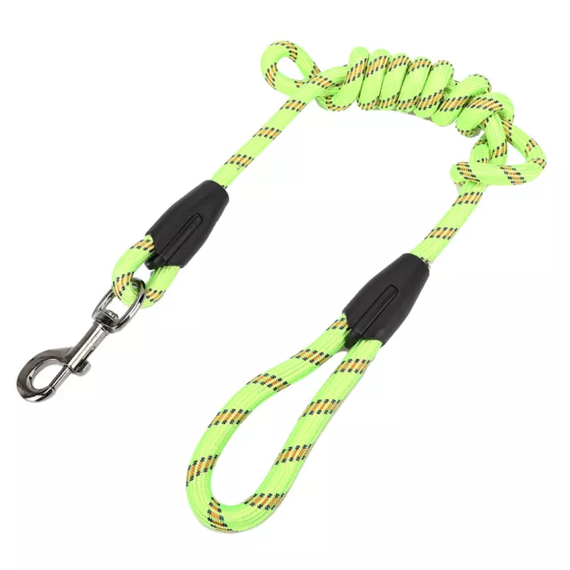 Outdoor High Strength Nylon Pet Dog Traction Rope Supply Für Outside Walking Tde