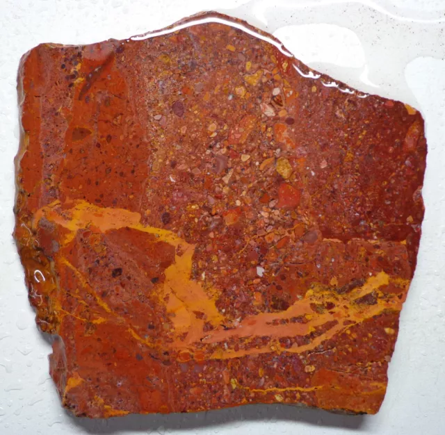 WRG- Pudding Stone Slab 119 grams Lapidary Agate Rhyolite jasper Old Stock