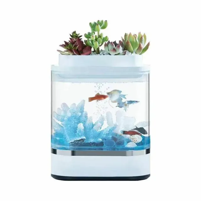 Mini Lazy Desktop Small Fish Tank Can Be Separated From The Fighting Fish Tank