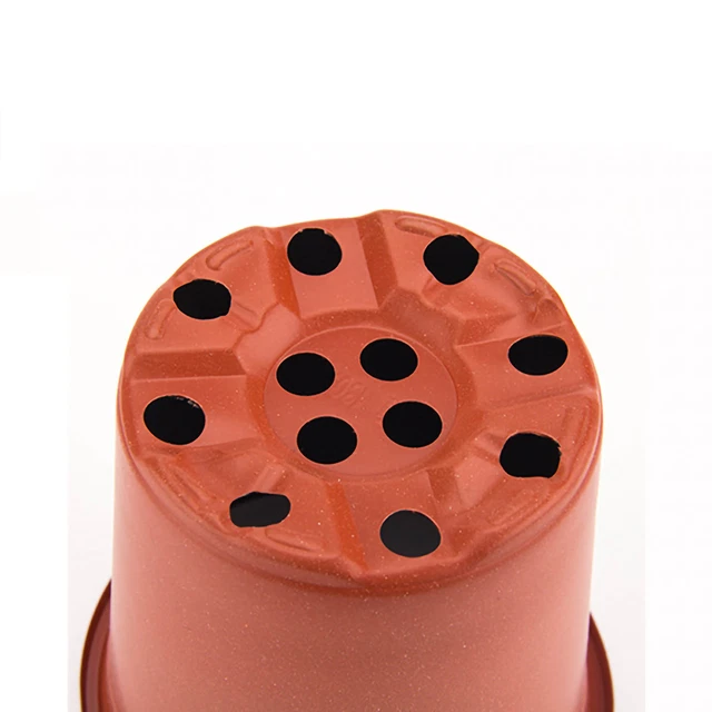 KAHEIGN 4 Vassoi Semina 24 Celle Con Coperchio - Per Orto, Serra E Giardinaggio Domestico - Foto 10