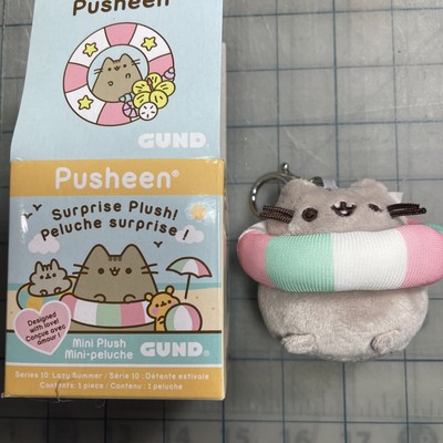 pusheen pool float