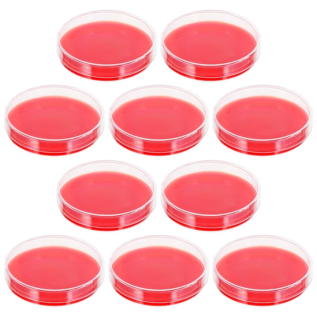 10 Pcs Agar Dish Blood Agar Plate Terrarium Accessories Supplies