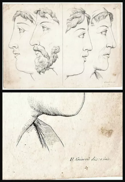 Disegno  Incisione          Il  Giarre'            Su Carta Pesante         1700