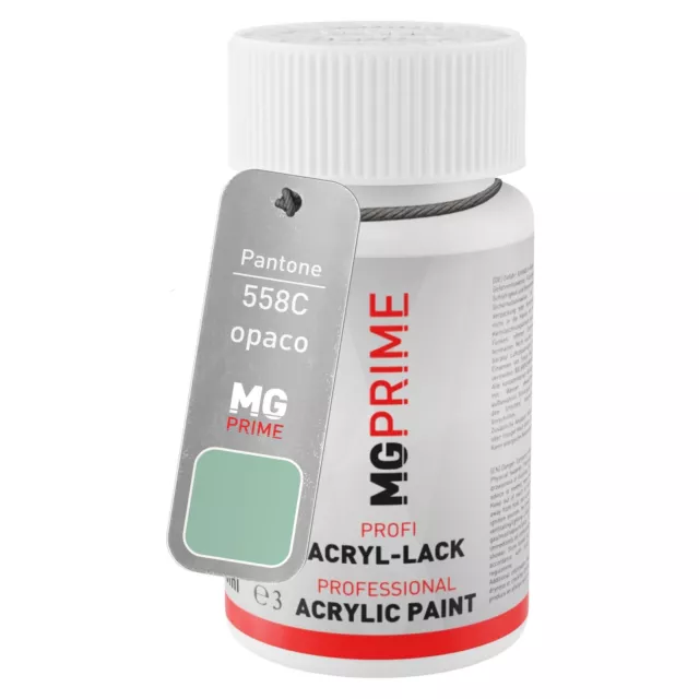 Pantone 558C Green opaco Stilo di ritocco da 50 ml ad asciugatura rapida