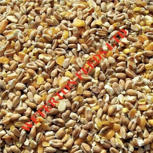 Mixed Poultry Corn best feed-food for Hens and Ducks 20kg GM FREE. FREE DELIVERY