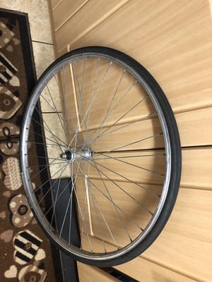BIC Taylor-Wheels 28 pollici ruota posteriore bici Euroline ruota libera argento 