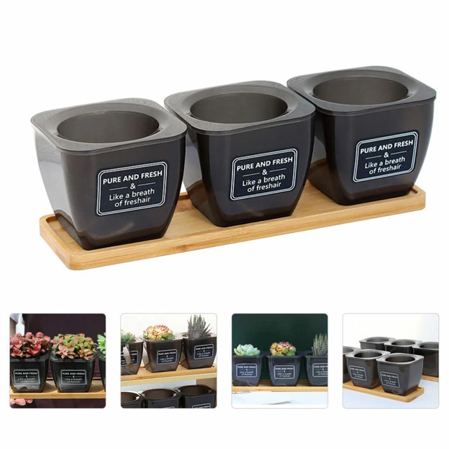 Harz Sukkulenten-Blumentopf-Set Pflanzer Saftige Töpfe Kaktus Halterung